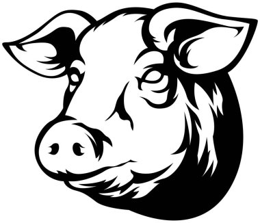 Pig head mascot. Swine logo. Hog illustration.