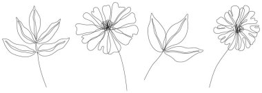 Soyut çiçekler izole edilmiş çizimler. Arka plan için kır çiçekleri. Botanik sanatı. Basit minimalist sanat seti. Sürekli çizgi çizimi.