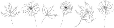 Soyut çiçekler izole edilmiş çizimler. Arka plan için kır çiçekleri. Botanik sanatı. Basit minimalist sanat seti. Sürekli çizgi çizimi.