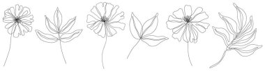 Soyut çiçekler izole edilmiş çizimler. Arka plan için kır çiçekleri. Botanik sanatı. Basit minimalist sanat seti. Sürekli çizgi çizimi.