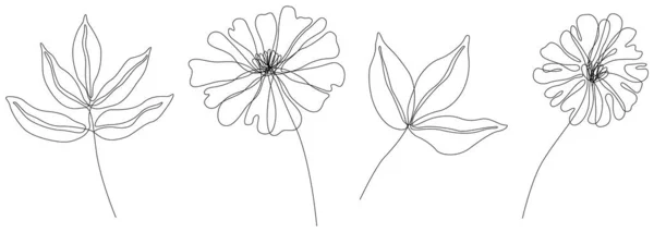 Абстрактные Цветы Изолированная Иллюстрация Цветы Фона Ботаническое Искусство Простой Минималистский — стоковый вектор