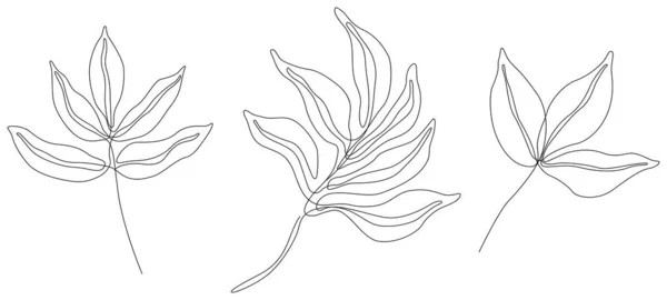 摘要离体花卉图解 野花为背景 植物学艺术 简单简约的艺术套件 连续线绘图 — 图库矢量图片