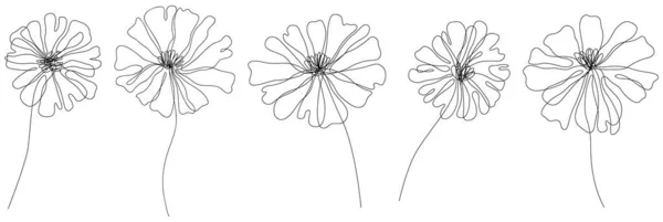 摘要离体花卉图解 野花为背景 植物学艺术 简单简约的艺术套件 连续线绘图 — 图库矢量图片
