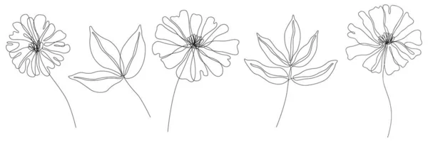 Abstrakta Blommor Isolerad Illustration Wildflowers För Bakgrund Botanisk Konst Enkel — Stock vektor