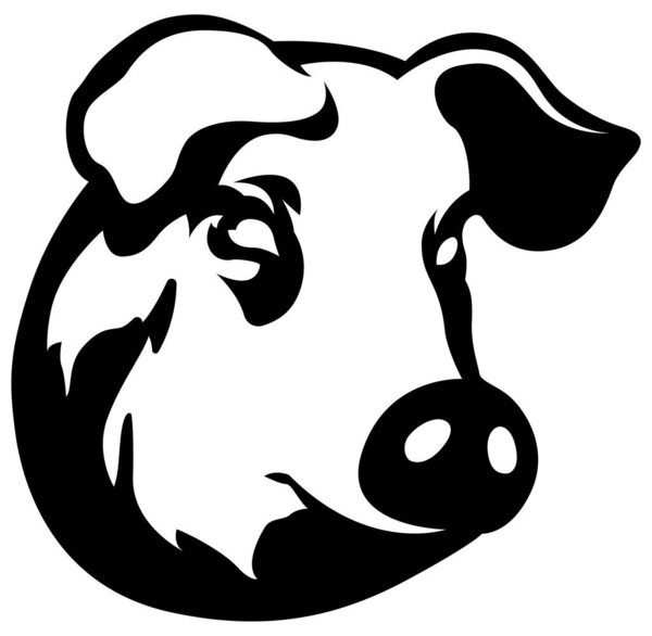 Pig head mascot. Swine logo. Hog illustration.