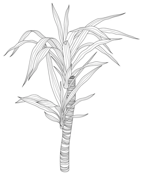 Folhas Isoladas Coleção Branca Folhas Tropicais Ilustração Abstrata Desenhada Mão —  Vetores de Stock