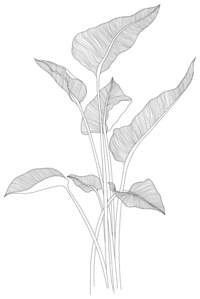 Folhas Isoladas Coleção Branca Folhas Tropicais Ilustração Abstrata Desenhada Mão — Vetor de Stock