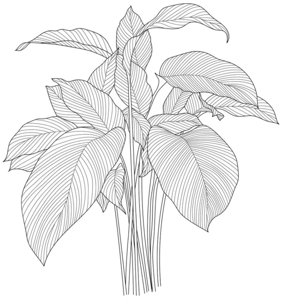 Folhas Isoladas Coleção Branca Folhas Tropicais Ilustração Abstrata Desenhada Mão — Vetor de Stock