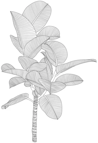 Листья Изолированы Белой Коллекции Тропические Листья Ручной Работы — стоковый вектор
