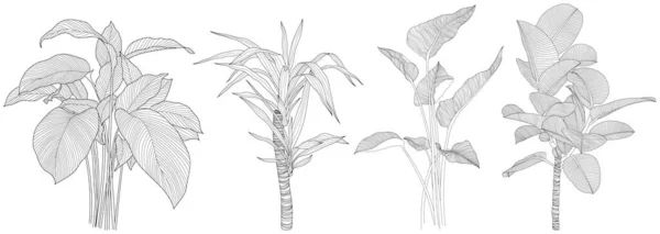 Bladeren Geïsoleerd Witte Collectie Tropische Bladeren Ingesteld Handgetekende Abstracte Illustratie — Stockvector