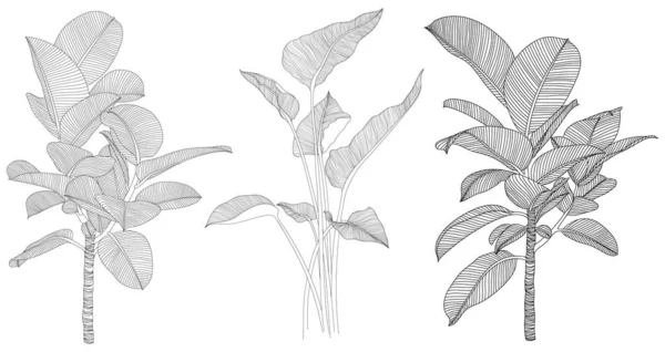 Φύλλα Απομονωμένα Λευκή Συλλογή Τροπικά Φύλλα Έτοιμα Χειροποίητη Αφηρημένη Απεικόνιση — Διανυσματικό Αρχείο