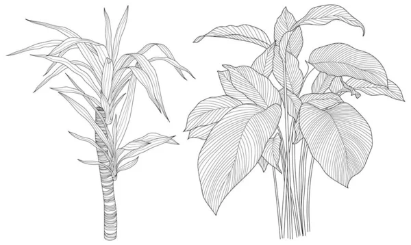 Foglie Isolate Raccolta Bianca Foglie Tropicali Pronte Illustrazione Astratta Disegnata — Vettoriale Stock