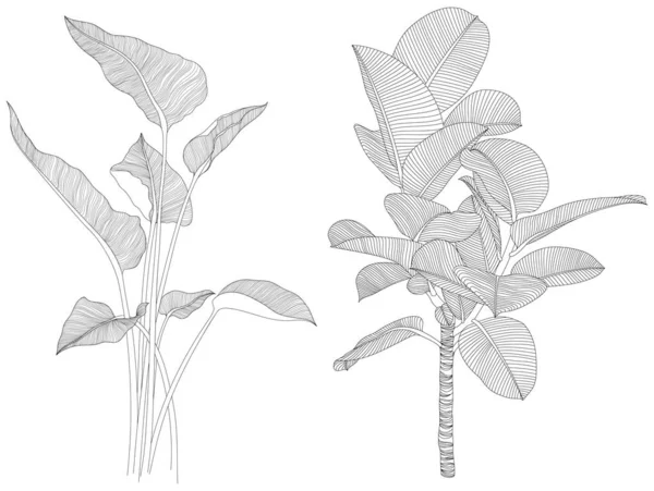 葉は白い集合に孤立します 熱帯の葉がセット 手描き抽象画 — ストックベクタ