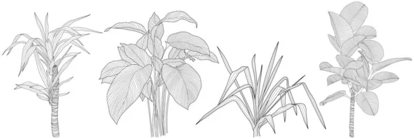 Φύλλα Απομονωμένα Λευκή Συλλογή Τροπικά Φύλλα Έτοιμα Χειροποίητη Αφηρημένη Απεικόνιση — Διανυσματικό Αρχείο