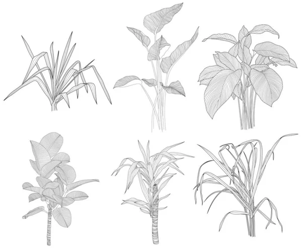 Листья Изолированы Белой Коллекции Тропические Листья Готовы Ручная Иллюстрация — стоковый вектор