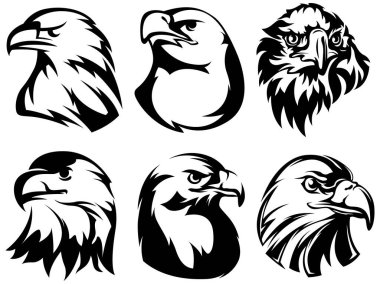 El çizimi kartal kafası amblemi yerleştirildi. Maskot kuş koleksiyonu. Yırtıcı logosu beyazı izole etti.