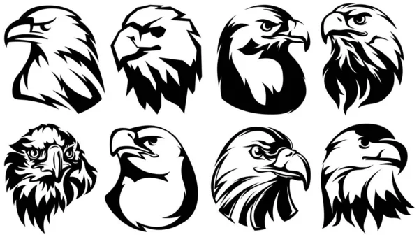 Ręcznie Rysowany Emblemat Głowy Orła Kolekcja Maskotek Ilustracja Logo Drapieżnika — Wektor stockowy