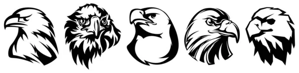 Ręcznie Rysowany Emblemat Głowy Orła Kolekcja Maskotek Ilustracja Logo Drapieżnika — Wektor stockowy