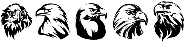 Conjunto Emblemas Cabeça Águia Desenhada Mão Coleção Pássaros Mascote Ilustração — Vetor de Stock