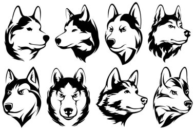 Köpek kafaları. Kurt. Soyut karakter çizimleri. Amblem için kabuklu tasarım şablonunun grafiksel logosu. Portre resmi.