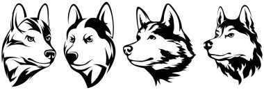 Köpek kafaları. Kurt. Soyut karakter çizimleri. Amblem için kabuklu tasarım şablonunun grafiksel logosu. Portre resmi.