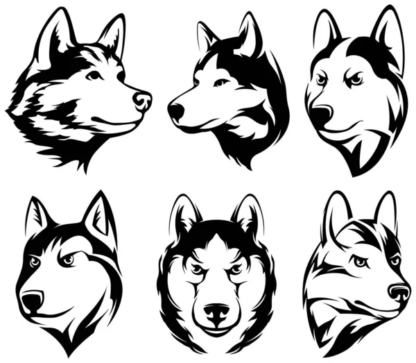Heads Dogs Wolf Abstract Character Illustrations Graphic Logo Husky Design — Stock Vector