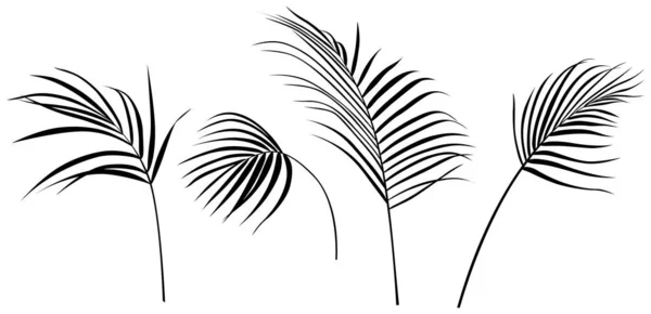Soyut Siluet Beyaz Koleksiyona Izole Edilmiş Tropikal Yapraklar Hazır Çizimi — Stok Vektör