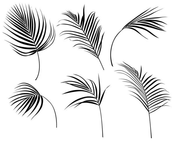 Абстрактные Листья Силуэта Изолированы Белой Коллекции Тропические Листья Готовы Ручной — стоковый вектор