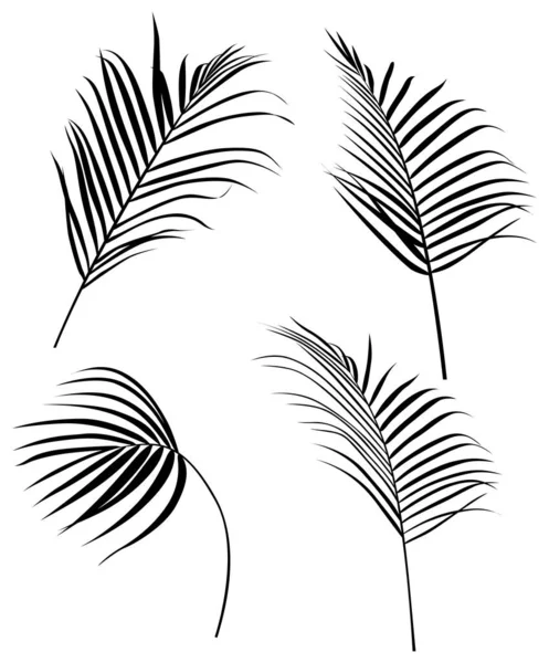 Абстрактные Листья Силуэта Изолированы Белой Коллекции Тропические Листья Готовы Ручной — стоковый вектор