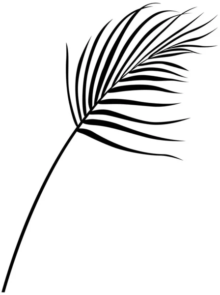 热带叶子在白色上被隔离 轮廓植物图解 — 图库矢量图片