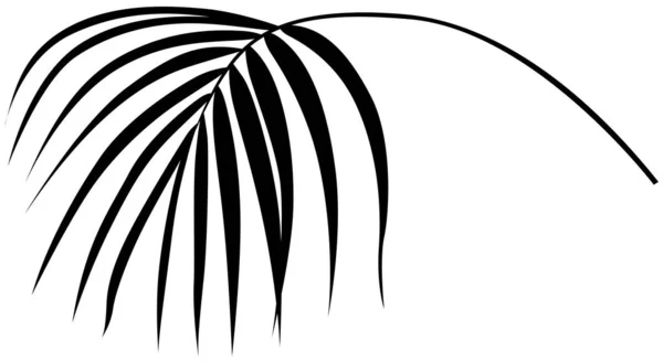 熱帯の葉は白で孤立します シルエット植物イラスト — ストックベクタ