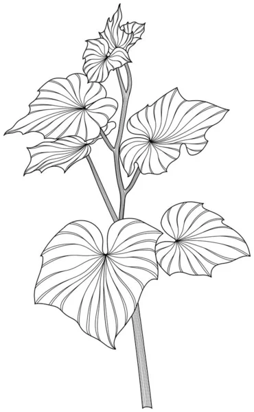 葉は白に孤立します 熱帯の葉手描き抽象イラスト — ストックベクタ
