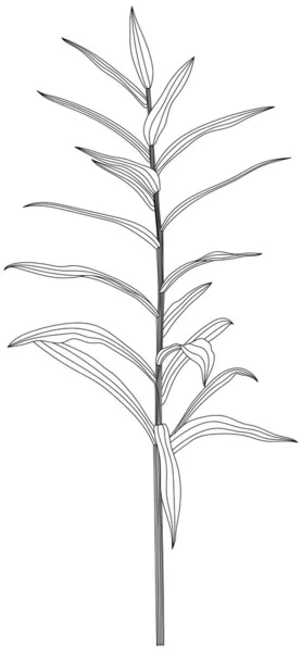 葉は白に孤立します 熱帯の葉手描き抽象イラスト — ストックベクタ