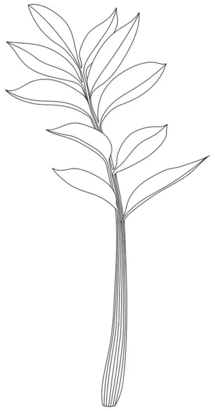 잎으로 분리되어 추상적 삽화를 — 스톡 벡터