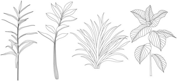 Folhas Isoladas Coleção Branca Conjunto Folhas Tropicais Ilustração Abstrata Desenhada — Vetor de Stock