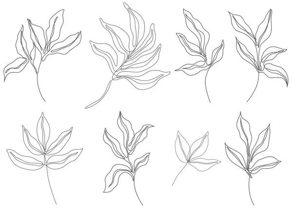 Rose Foglie Isolate Bianco Illustrazione Astratta Disegnata Mano — Vettoriale Stock