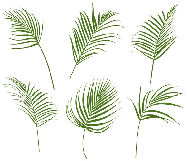 Πράσινα Φύλλα Απομονώνονται Λευκή Συλλογή Τροπικά Φύλλα Έτοιμα Χειροποίητη Εικόνα — Διανυσματικό Αρχείο