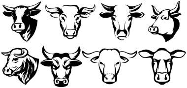 İnek kafalı maskotlar. Sığır logosu. Çiftlik hayvanı illüstrasyonu beyazda izole edildi.