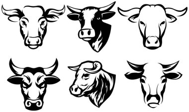 İnek kafalı maskotlar. Sığır logosu. Çiftlik hayvanı illüstrasyonu beyazda izole edildi.