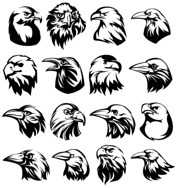 Conjunto Emblema Cabeza Águila Cuervo Dibujado Mano Colección Aves Compañía — Archivo Imágenes Vectoriales