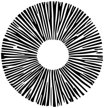 Beyaz üzerine izole edilmiş arka plan hariç. Beyaz üzerine ince siyah çizgiler. Dairesel, radyal çizgiler. Radikal, yayılan çizgiler. Ai oluşturuldu.