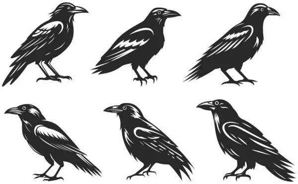 Иллюстрации Персонажа Ворона Графический Логотип Птицы Дизайн Шаблона Эмблемы Изображение — стоковый вектор