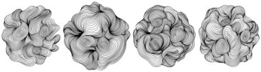 Soyut siyah beyaz dalgalı elementler seti. Soyut ağaç halkaları topografik harita konsepti. Tasarımınız için beyaz üzerine ince siyah çizgiler.
