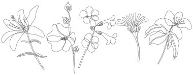 Çiçekler beyaz illüstrasyon koleksiyonunda izole edilmiş. Arka plan için kır çiçekleri. Soyut botanik sanatı. Basit minimalist sanat seti. Devamlı çizgi çizim seti.