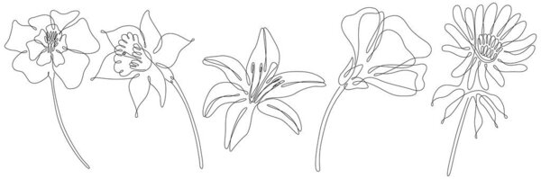 Flowers isolated on white illustration collection. Wildflowers for background. Abstract botanical art. Simple minimalist art set. Continuous line drawing set.