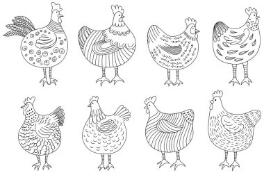 Bir çift el yapımı tavuk. Tavuk çizimi beyaza izole edilmiş. Renkli, soyutlanmış evcil kuşlar elle çizilmiş.