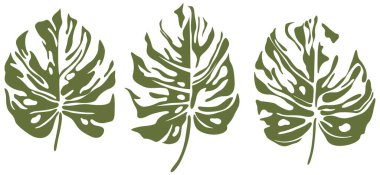 Beyaz arka planda izole edilmiş, soyut tropik yapraklar. El yapımı illüstrasyon koleksiyonu.