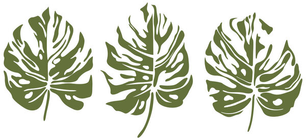 Abstract set of tropical leaves isolated on white background. Hand drawn illustration collection.