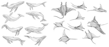 Beyaz arka plan koleksiyonunda Stingray. Tasarım setiniz için soyut illüstrasyon manta ışını. Beyaz arka planda izole edilmiş balina siluetleri..