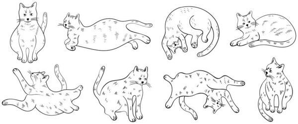 Набор симпатичных кошек разных поз. Ручной рисунок в стиле каракулей изолировать на белой коллекции.